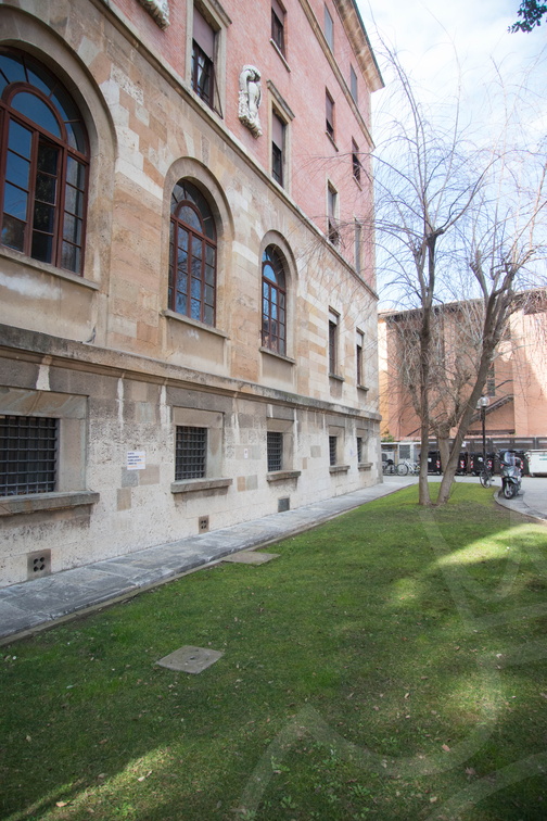 Palazzo Carovana-7967