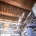 Biblioteca-8228